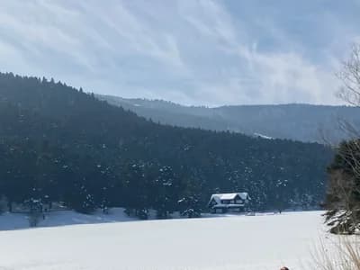 Bolu