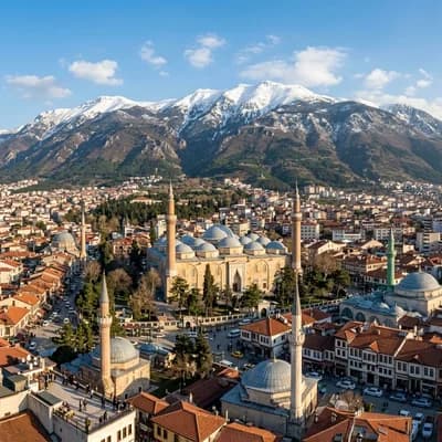 Bursa